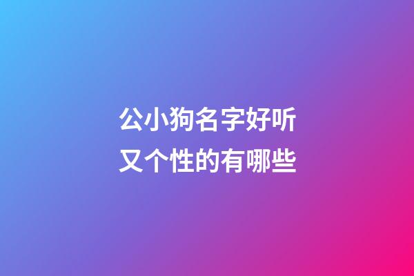 公小狗名字好听又个性的有哪些