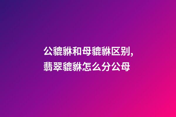 公貔貅和母貔貅区别,翡翠貔貅怎么分公母-第1张-观点-玄机派