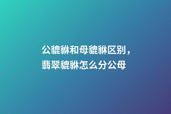 公貔貅和母貔貅区别，翡翠貔貅怎么分公母-第1张-观点-玄机派