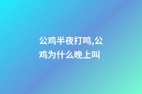 公鸡半夜打鸣,公鸡为什么晚上叫-第1张-观点-玄机派