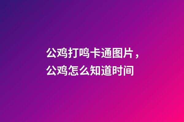 公鸡打鸣卡通图片，公鸡怎么知道时间-第1张-观点-玄机派