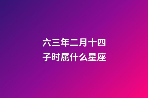 六三年二月十四子时属什么星座-第1张-星座运势-玄机派