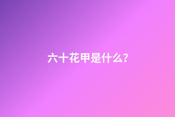 六十花甲是什么？