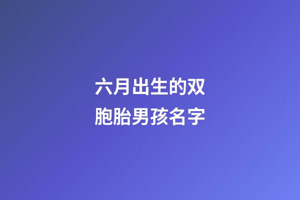 六月出生的双胞胎男孩名字(六月出生双胞胎女孩小名洋气)-第1张-女孩起名-玄机派