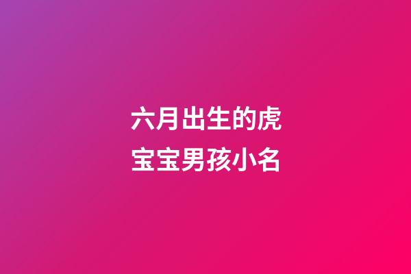 六月出生的虎宝宝男孩小名(六月份出生的虎宝宝)-第1张-男孩起名-玄机派