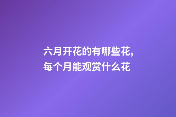 六月开花的有哪些花,每个月能观赏什么花-第1张-观点-玄机派