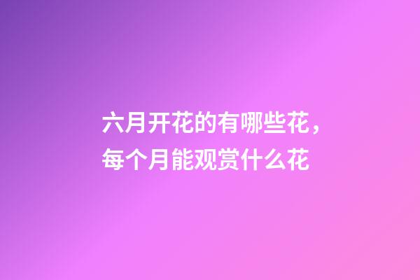 六月开花的有哪些花，每个月能观赏什么花-第1张-观点-玄机派
