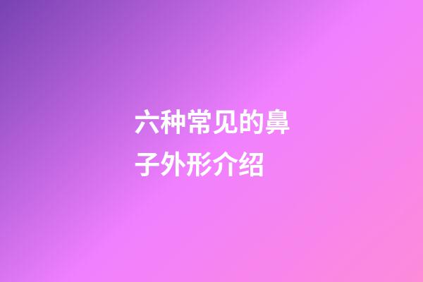 六种常见的鼻子外形介绍