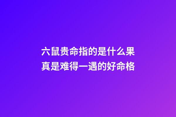 六鼠贵命指的是什么?果真是难得一遇的好命格