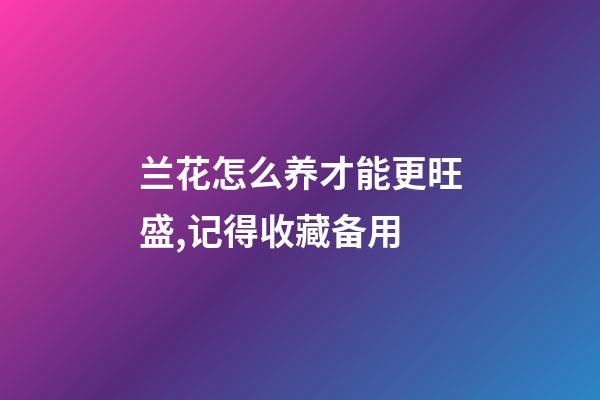 兰花怎么养才能更旺盛,记得收藏备用-第1张-观点-玄机派