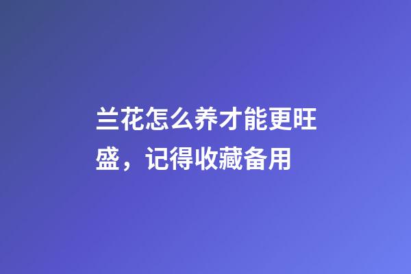 兰花怎么养才能更旺盛，记得收藏备用-第1张-观点-玄机派