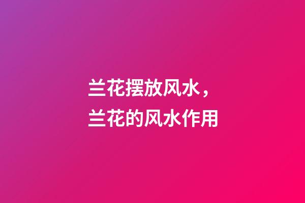 兰花摆放风水，兰花的风水作用
