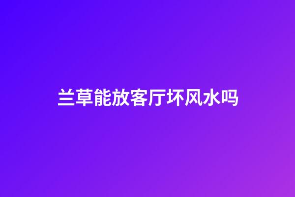 兰草能放客厅坏风水吗