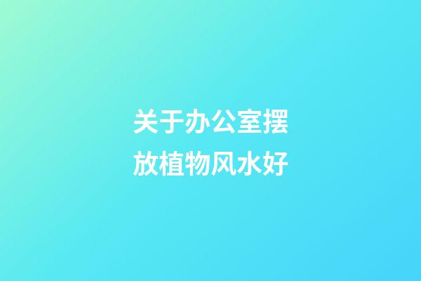 关于办公室摆放植物风水好