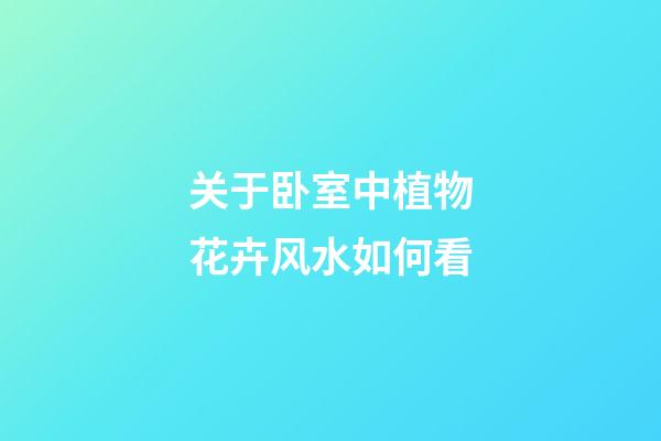 关于卧室中植物花卉风水如何看