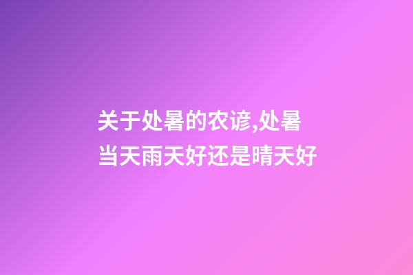 关于处暑的农谚,处暑当天雨天好还是晴天好-第1张-观点-玄机派