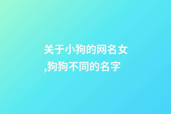 关于小狗的网名女,狗狗不同的名字-第1张-观点-玄机派