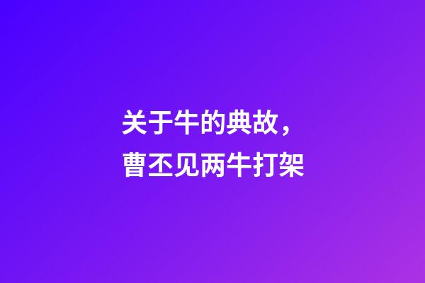 关于牛的典故，曹丕见两牛打架-第1张-观点-玄机派