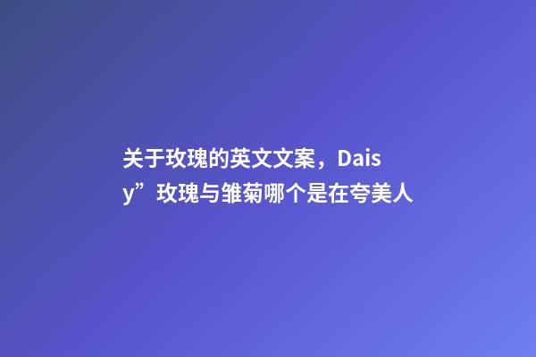 关于玫瑰的英文文案，Daisy”玫瑰与雏菊哪个是在夸美人-第1张-观点-玄机派