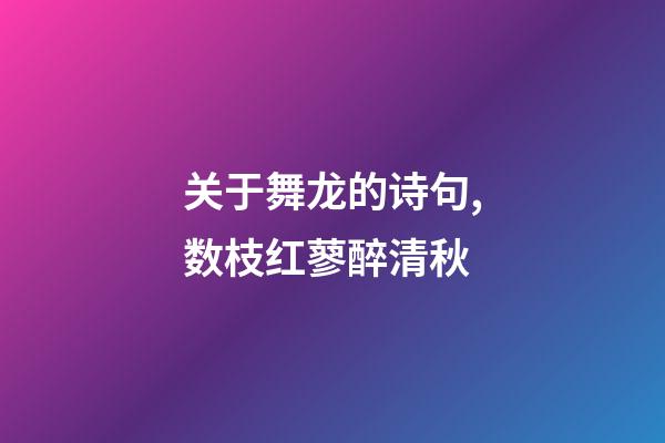 关于舞龙的诗句,数枝红蓼醉清秋-第1张-观点-玄机派