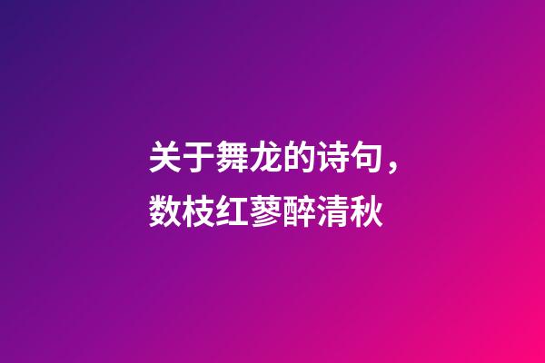关于舞龙的诗句，数枝红蓼醉清秋-第1张-观点-玄机派