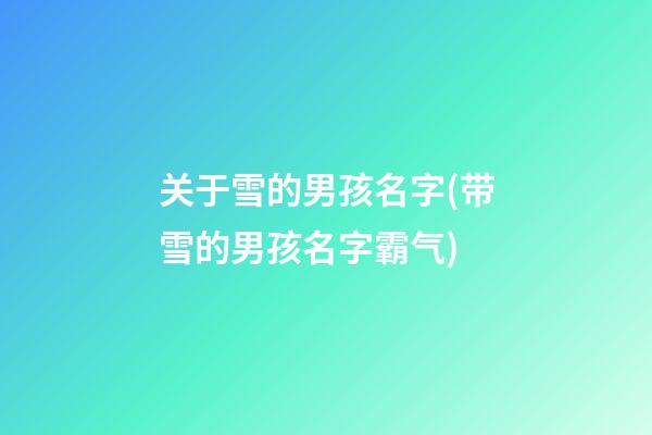 关于雪的男孩名字(带雪的男孩名字霸气)
