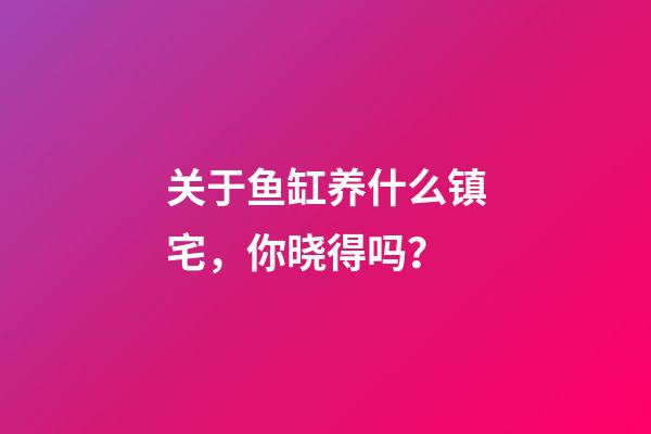 关于鱼缸养什么镇宅，你晓得吗？