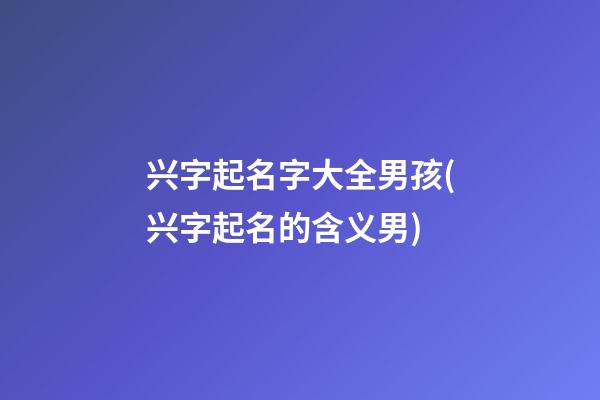兴字起名字大全男孩(兴字起名的含义男)