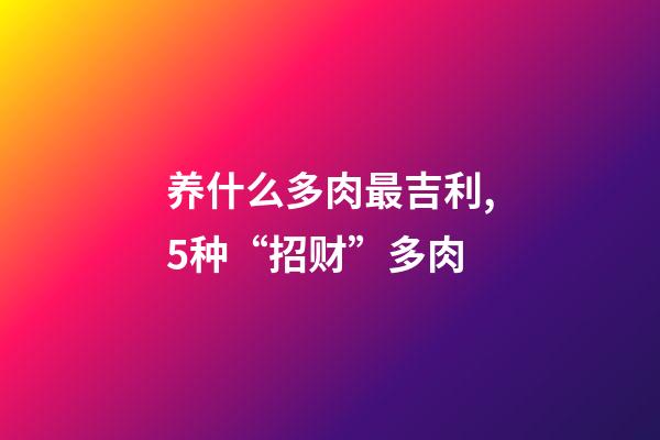 养什么多肉最吉利,5种“招财”多肉-第1张-观点-玄机派