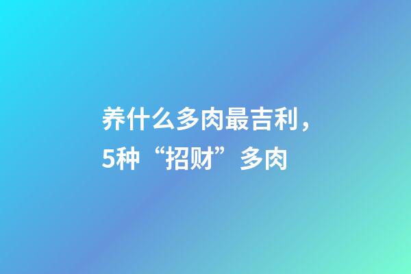 养什么多肉最吉利，5种“招财”多肉-第1张-观点-玄机派