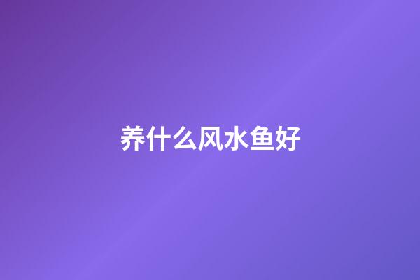 养什么风水鱼好