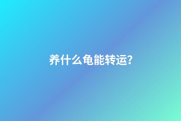 养什么龟能转运？