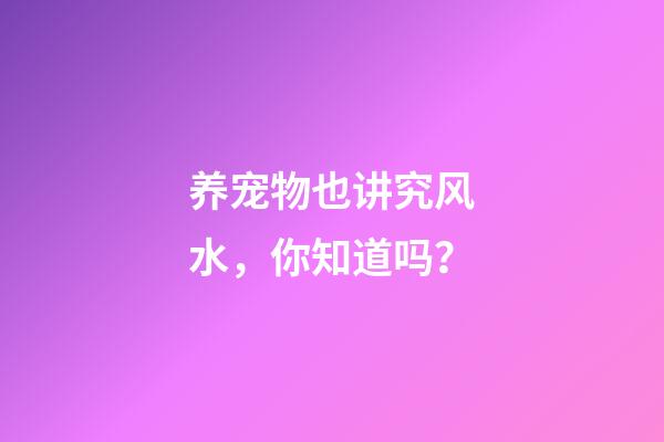 养宠物也讲究风水，你知道吗？