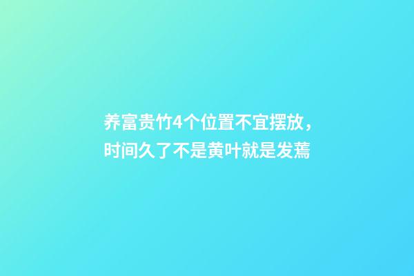 养富贵竹4个位置不宜摆放，时间久了不是黄叶就是发蔫