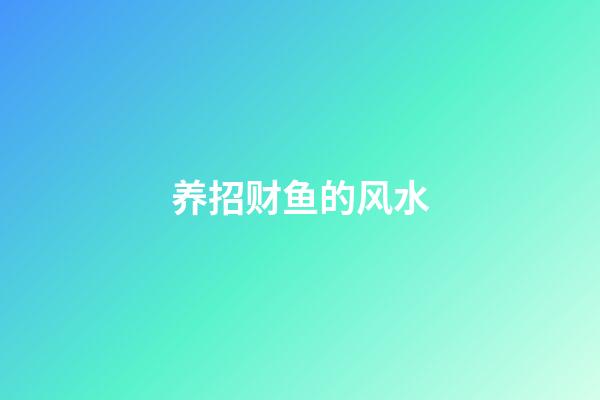 养招财鱼的风水