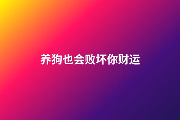 养狗也会败坏你财运