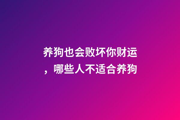 养狗也会败坏你财运，哪些人不适合养狗