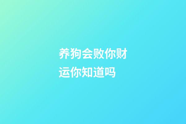 养狗会败你财运你知道吗