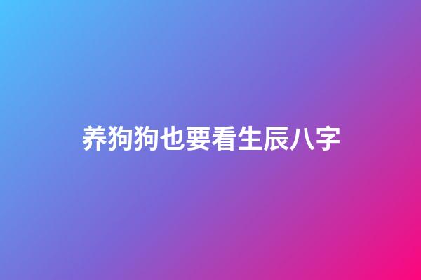 养狗狗也要看生辰八字
