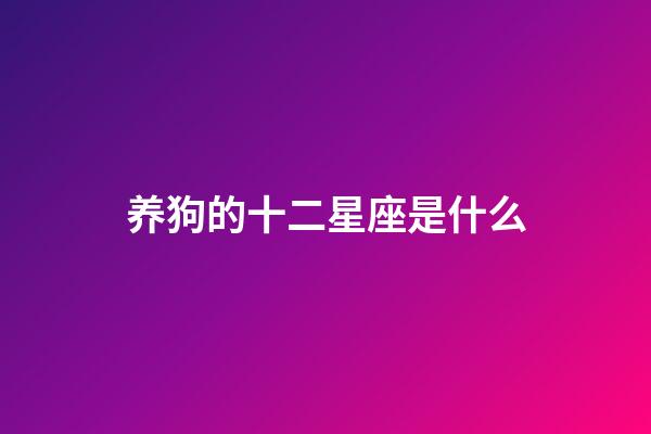 养狗的十二星座是什么-第1张-星座运势-玄机派