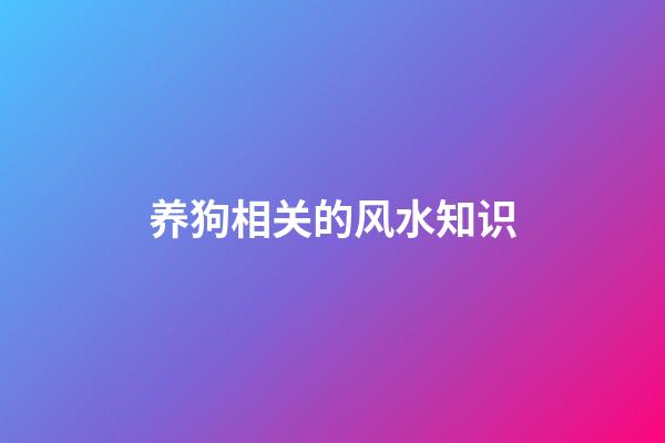 养狗相关的风水知识