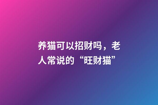 养猫可以招财吗，老人常说的“旺财猫”-第1张-观点-玄机派