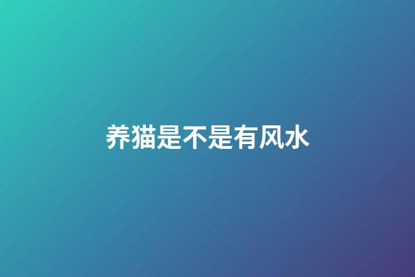 养猫是不是有风水