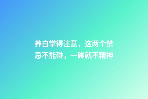 养白掌得注意，这两个禁忌不能碰，一碰就不精神