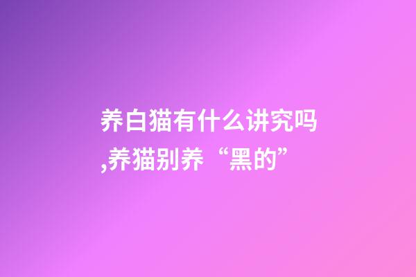 养白猫有什么讲究吗,养猫别养“黑的”-第1张-观点-玄机派