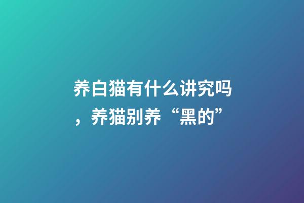 养白猫有什么讲究吗，养猫别养“黑的”-第1张-观点-玄机派