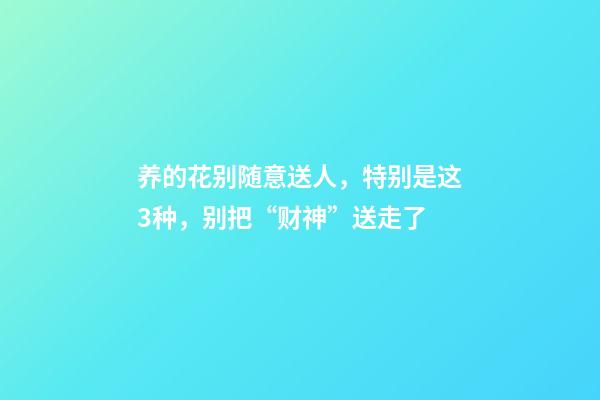 养的花别随意送人，特别是这3种，别把“财神”送走了