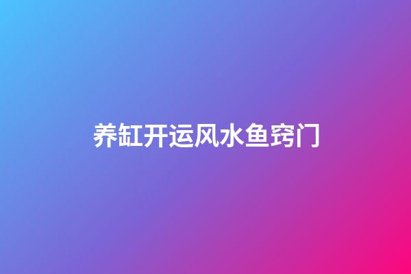 养缸开运风水鱼窍门
