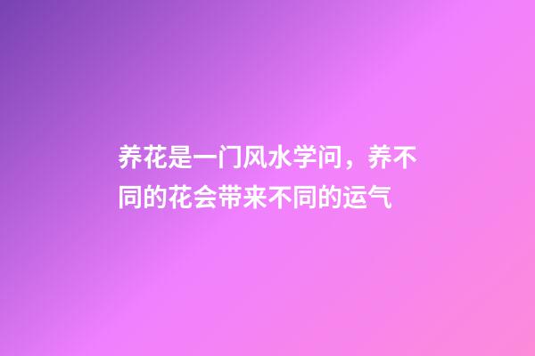 养花是一门风水学问，养不同的花会带来不同的运气