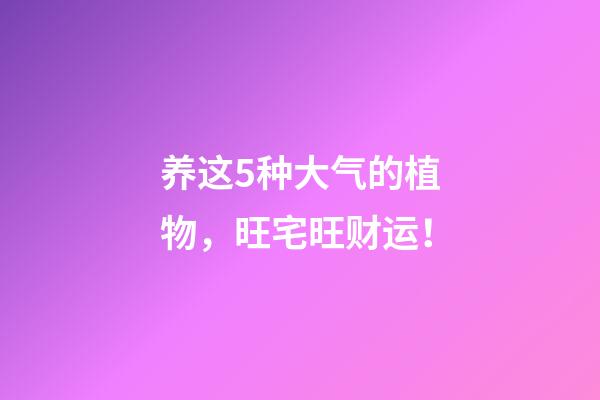 养这5种大气的植物，旺宅旺财运！